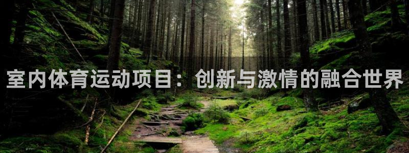 3377体育官网下载