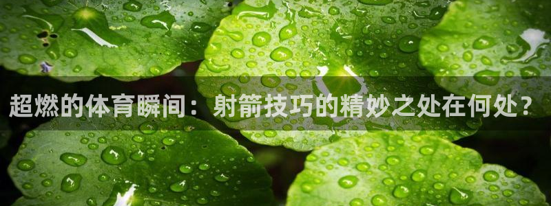3377体育中国官方网站入口