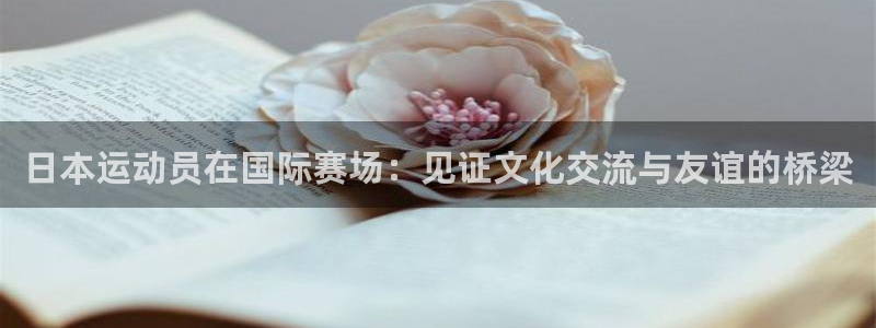 3377体育官网下载