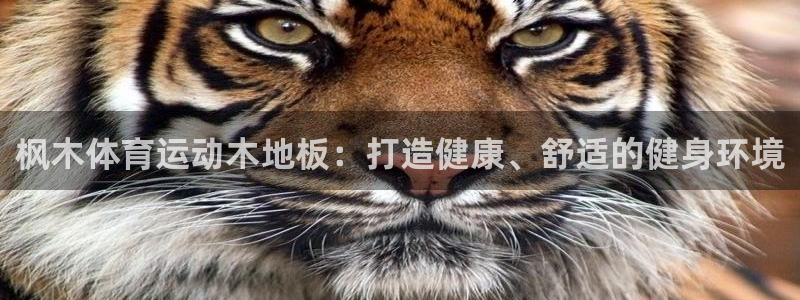 3377体育中国官方网站入口：枫木体育运动木地板：打造健康、舒适的健身环境