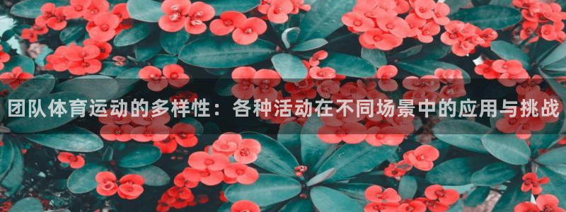 3377体育在线：团队体育运动的多样性：各种活动在不同场景中的应用与挑战
