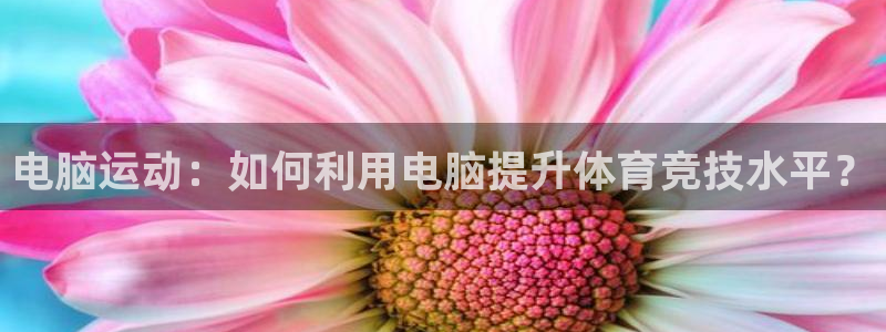 3377体育com：电脑运动：如何利用电脑提升体育竞技水平？