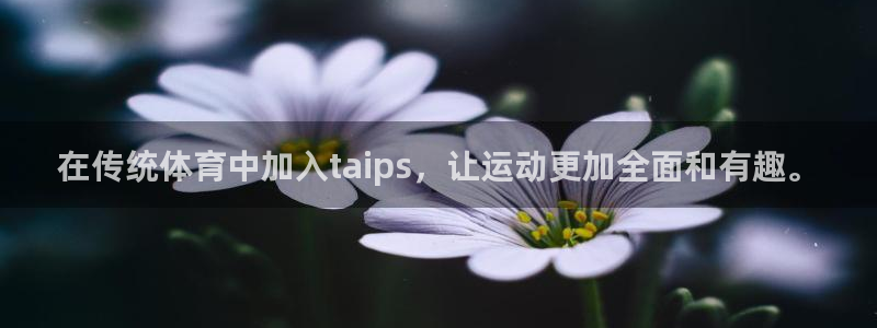 3377体育官网：在传统体育中加入taips，让运动更加全面和有趣。