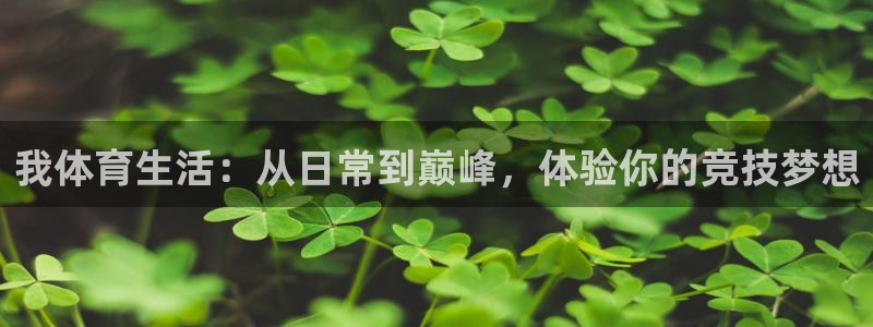 3377体育(中国)官方网站：我体育生活：从日常到巅峰，体验你的竞技梦想