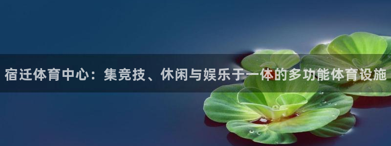3377体育手机平台：宿迁体育中心：集竞技、休闲与娱乐于一体的多功能体育设施