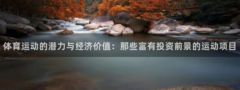 3377体育