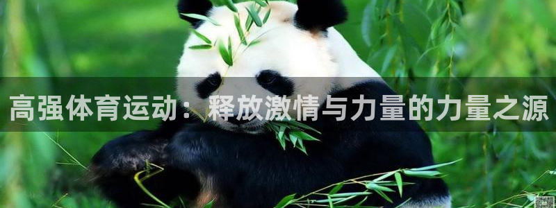3377体育靠谱吗