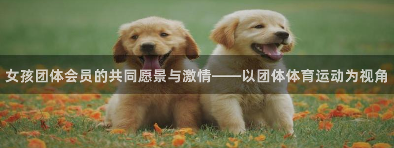 3377体育com