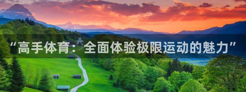 3377体育(中国)官方网站：“高手体育：全面体验极限运动的魅力”
