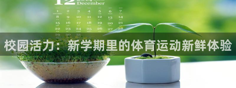 3377体育官方app下载：校园活力：新学期里的体育运动新鲜体验