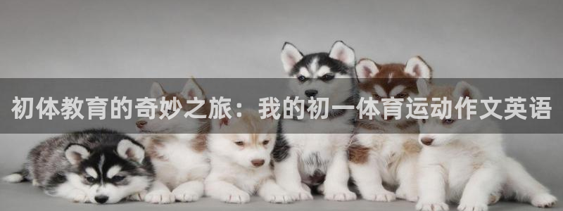 3377体育平台：初体教育的奇妙之旅：我的初一体育运动作文英语